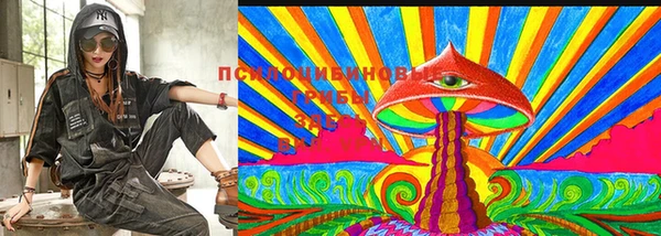 ГАЛЛЮЦИНОГЕННЫЕ ГРИБЫ Алексин