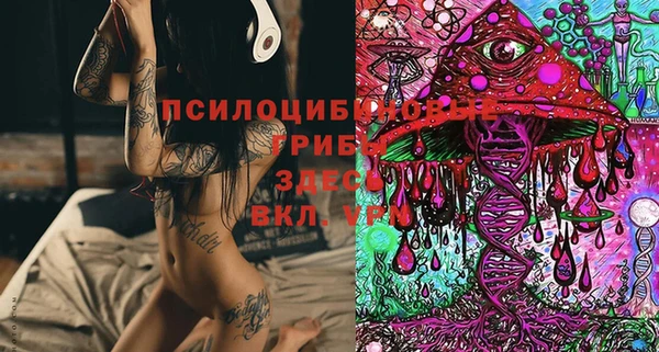 молекула духа Алзамай