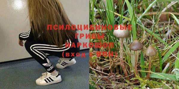 ГАЛЛЮЦИНОГЕННЫЕ ГРИБЫ Алексин