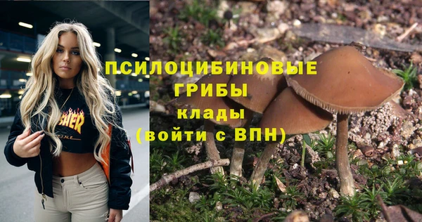молекула духа Алзамай