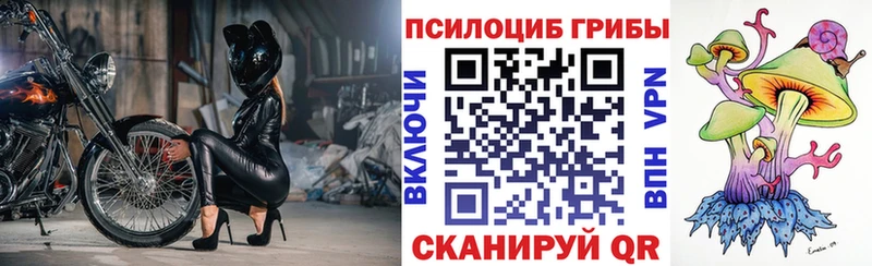 Галлюциногенные грибы Psilocybine cubensis  Калач-на-Дону 