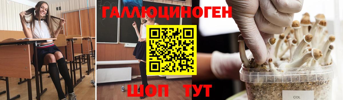 Калач-на-Дону  Псилоцибиновые грибы MAGIC MUSHROOMS  где найти наркотики  Вход с VPN  Псилоцибиновые грибы прущие грибы 