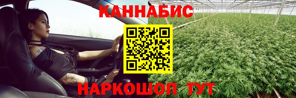 Бошки Шишки конопля  Вход с VPN  Конопля Amnesia  Марихуана White Widow  Калач-на-Дону 